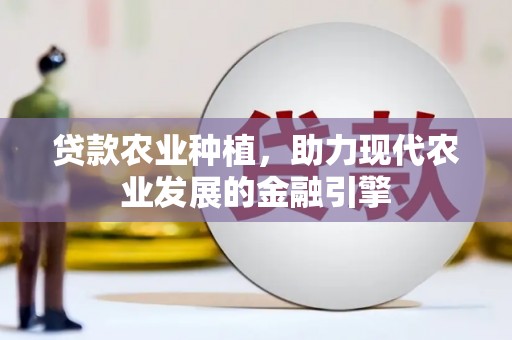 开阳贷款农业种植，助力现代农业发展的金融引擎