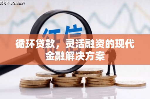 开阳循环贷款，灵活融资的现代金融解决方案