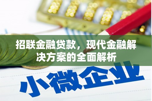 开阳招联金融贷款，现代金融解决方案的全面解析