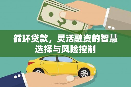 开阳循环贷款，灵活融资的智慧选择与风险控制