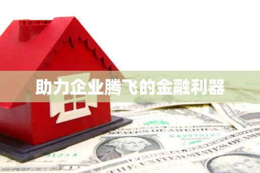 开阳助力企业腾飞的金融利器