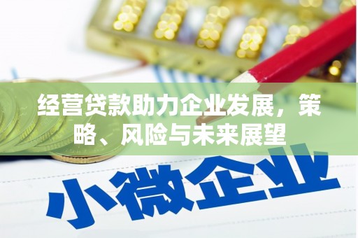 开阳经营贷款助力企业发展，策略、风险与未来展望