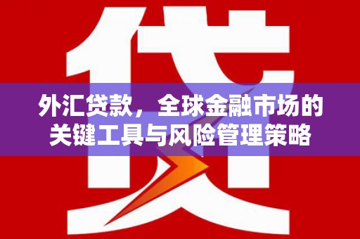 开阳外汇贷款，全球金融市场的关键工具与风险管理策略