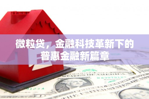 开阳微粒贷，金融科技革新下的普惠金融新篇章