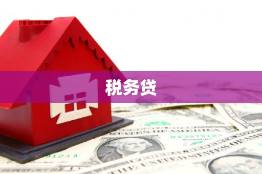 开阳税务贷