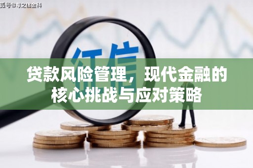 开阳贷款风险管理，现代金融的核心挑战与应对策略