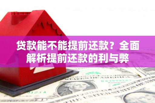开阳贷款能不能提前还款？全面解析提前还款的利与弊