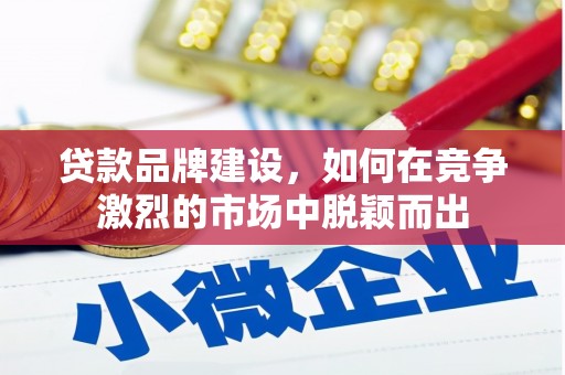 开阳贷款品牌建设，如何在竞争激烈的市场中脱颖而出