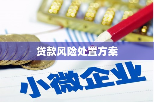 开阳贷款风险处置方案