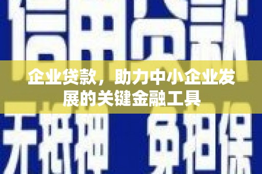开阳企业贷款，助力中小企业发展的关键金融工具