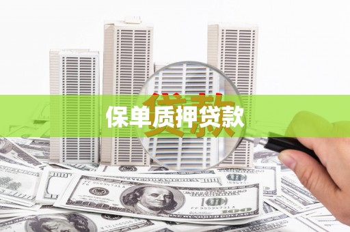 开阳保单质押贷款