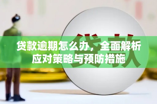 开阳贷款逾期怎么办，全面解析应对策略与预防措施