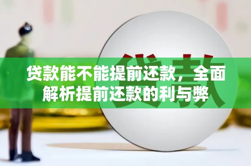 开阳贷款能不能提前还款，全面解析提前还款的利与弊