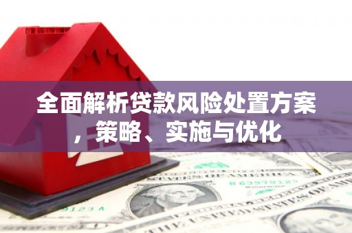 开阳全面解析贷款风险处置方案，策略、实施与优化