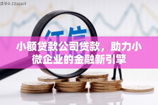 开阳小额贷款公司贷款，助力小微企业的金融新引擎