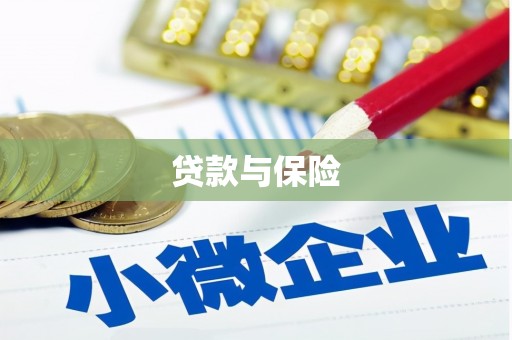 开阳贷款与保险