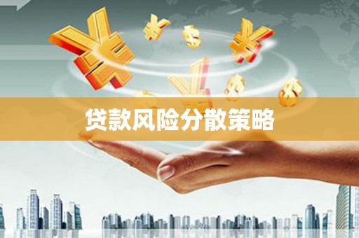 开阳贷款风险分散策略