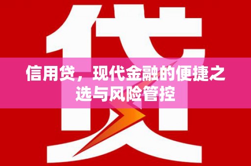 开阳信用贷，现代金融的便捷之选与风险管控