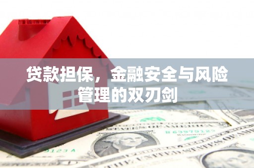 开阳贷款担保，金融安全与风险管理的双刃剑