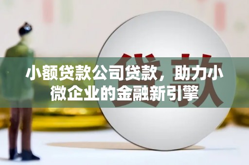开阳小额贷款公司贷款，助力小微企业的金融新引擎