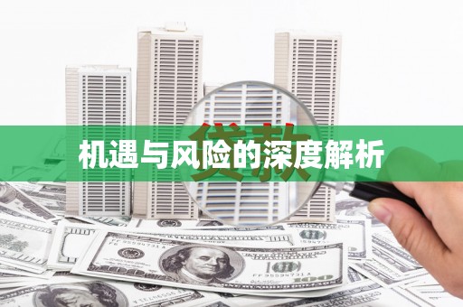 开阳机遇与风险的深度解析