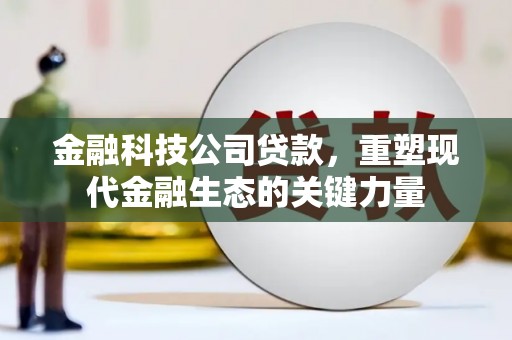 开阳金融科技公司贷款，重塑现代金融生态的关键力量