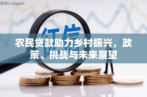 开阳农民贷款助力乡村振兴，政策、挑战与未来展望