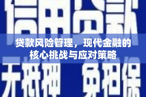 开阳贷款风险管理，现代金融的核心挑战与应对策略