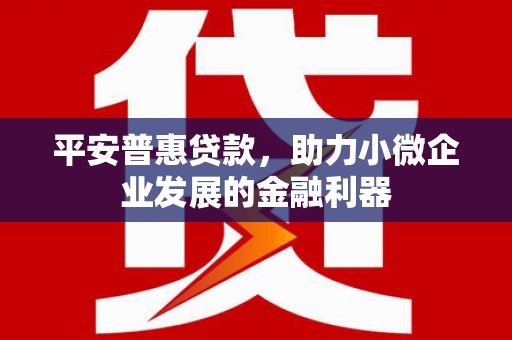 开阳平安普惠贷款，助力小微企业发展的金融利器