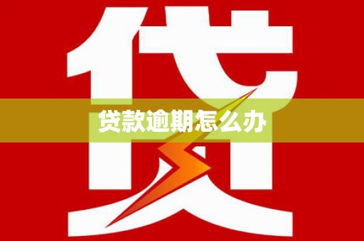 开阳贷款逾期怎么办