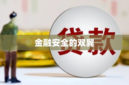 开阳金融安全的双翼