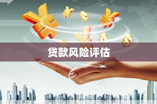 开阳贷款风险评估