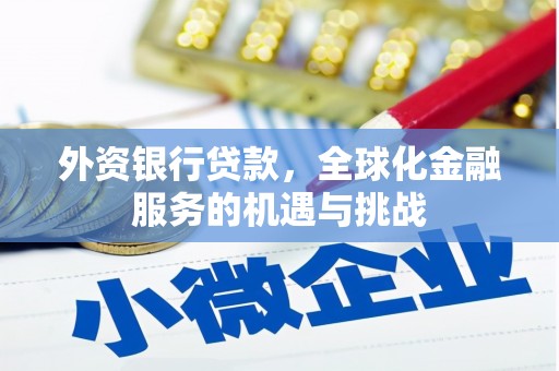 开阳外资银行贷款，全球化金融服务的机遇与挑战