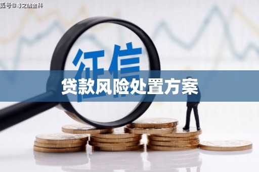 开阳贷款风险处置方案
