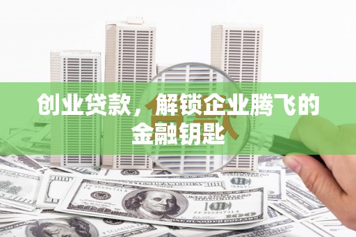 开阳创业贷款，解锁企业腾飞的金融钥匙