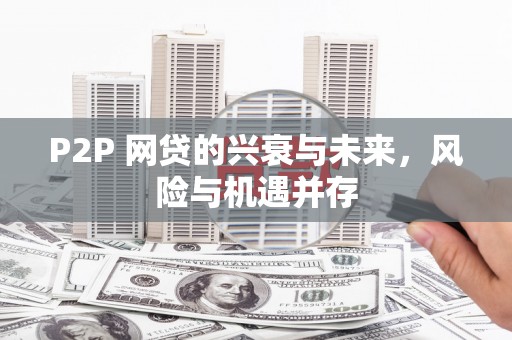 开阳P2P 网贷的兴衰与未来，风险与机遇并存