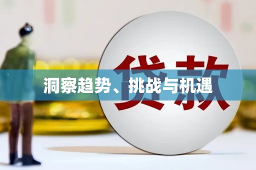 开阳洞察趋势、挑战与机遇