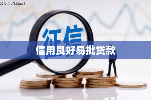 开阳信用良好易批贷款