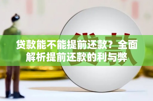 开阳贷款能不能提前还款？全面解析提前还款的利与弊