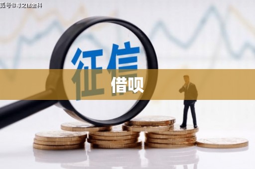 开阳借呗