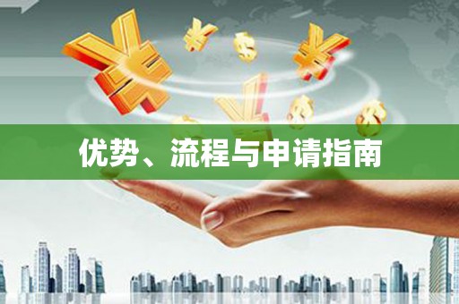 开阳优势、流程与申请指南