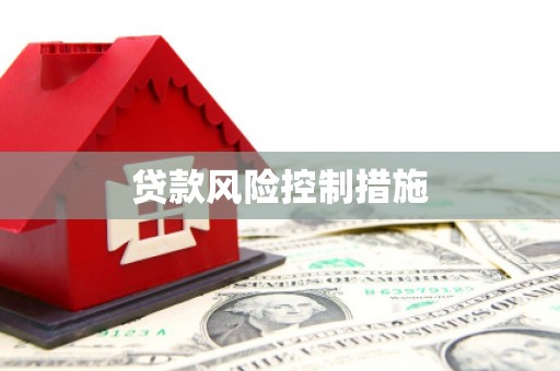 开阳贷款风险控制措施
