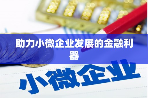 开阳助力小微企业发展的金融利器