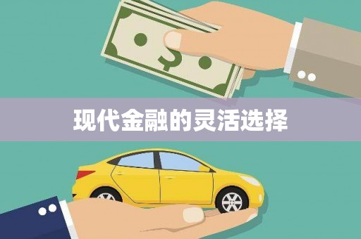 开阳现代金融的灵活选择