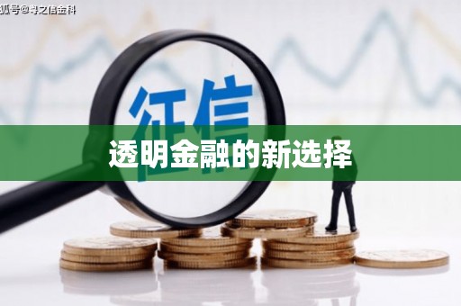 开阳透明金融的新选择