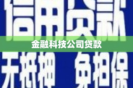 开阳金融科技公司贷款