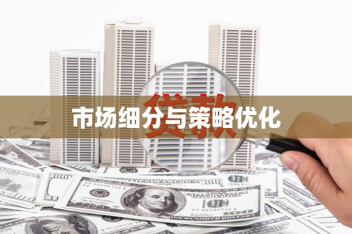 开阳市场细分与策略优化