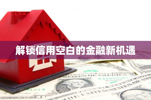 开阳解锁信用空白的金融新机遇
